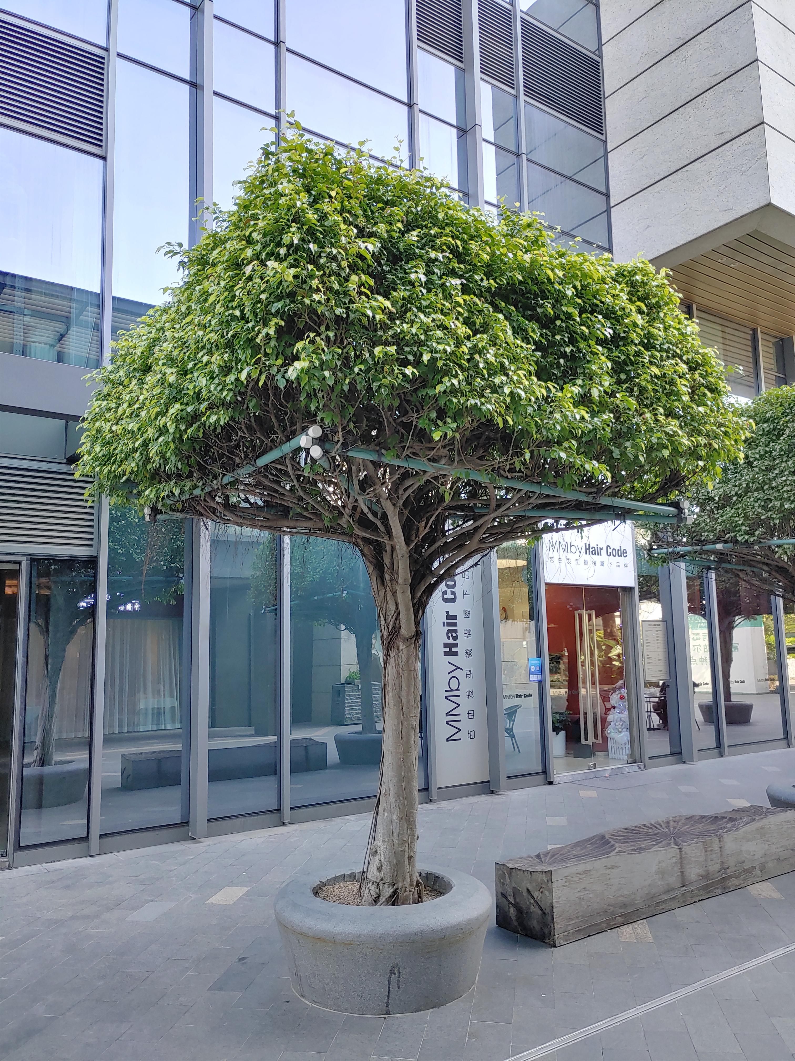 중국 주해 거리 풍경 사진