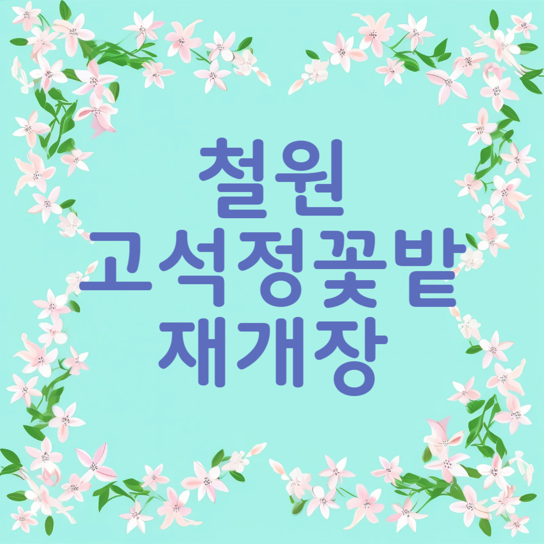 철원 고석정 꽃밭 축제 재개장