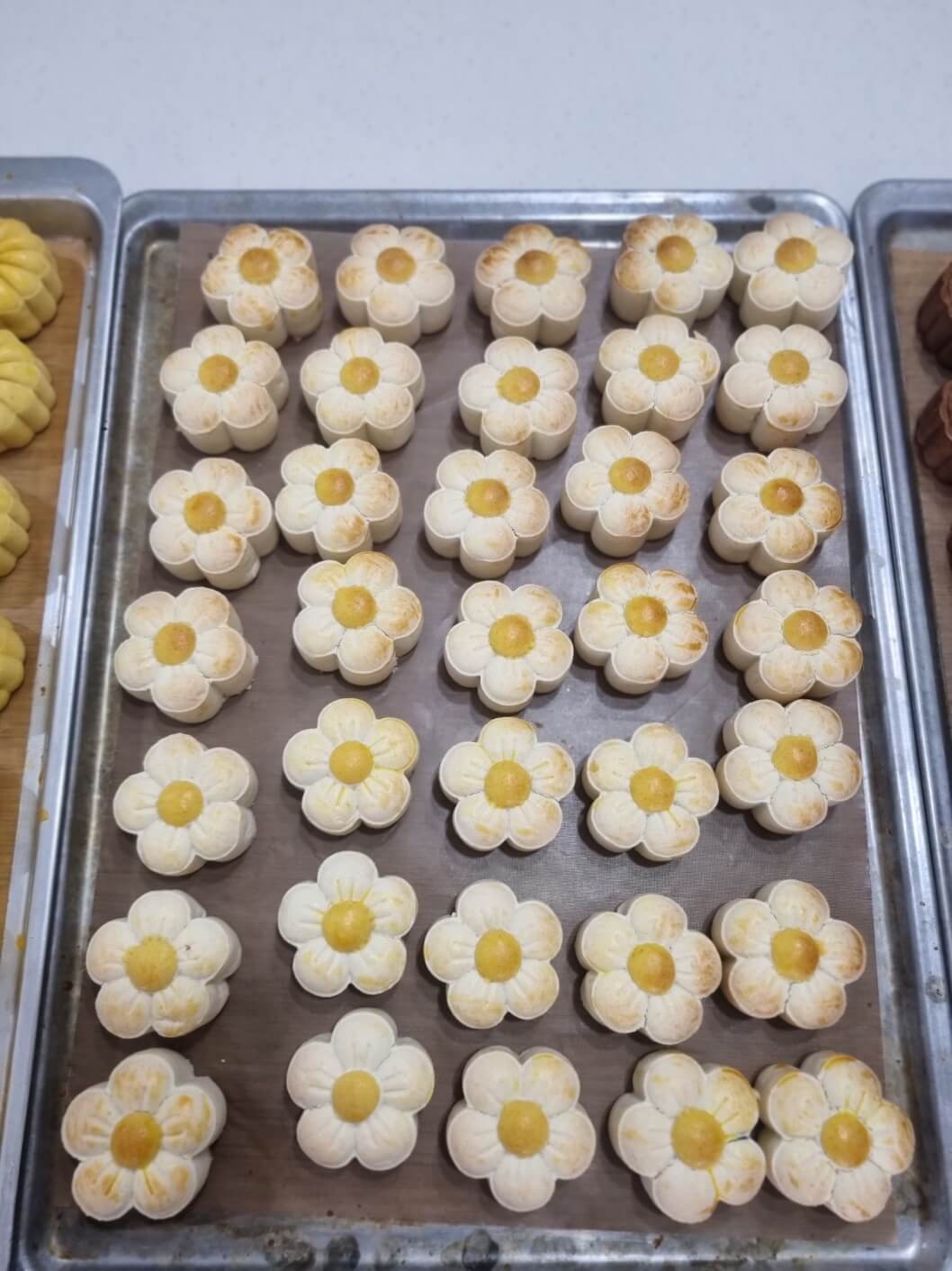 오색쌀월병(감자)