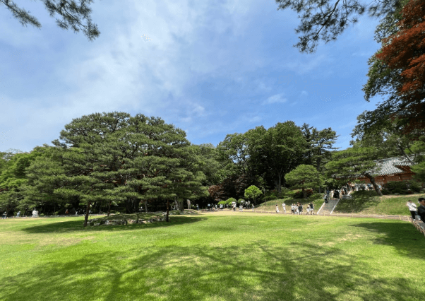 청와대 개방 예약 신청 방법