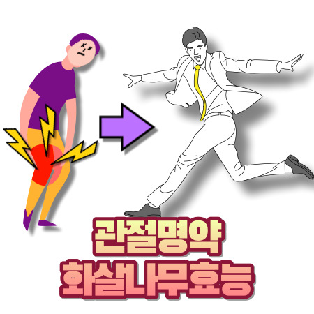 화살나무효능 관절에 좋음