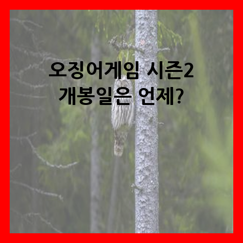 오징어게임 시즌2 개봉일