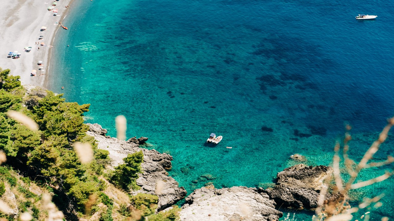 니스 유학 정보