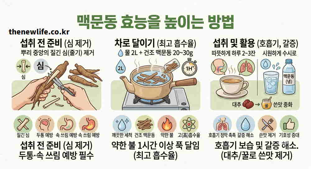맥문동 효능 높이는 먹는 방법