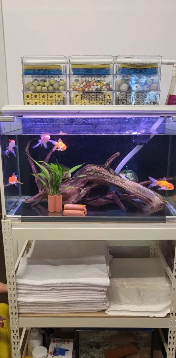 힐링발관리