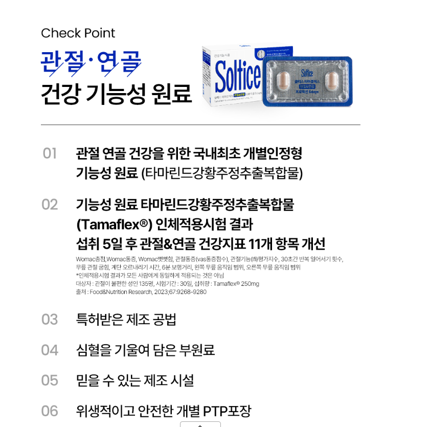 솔티스 타마플렉스