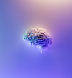 포스파티딜 세린 효능 음식 추천 부작용