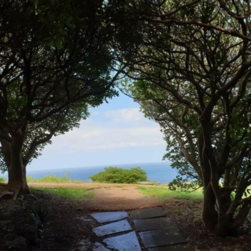 제주공항 근처 놀거리 볼거리 가볼만한곳