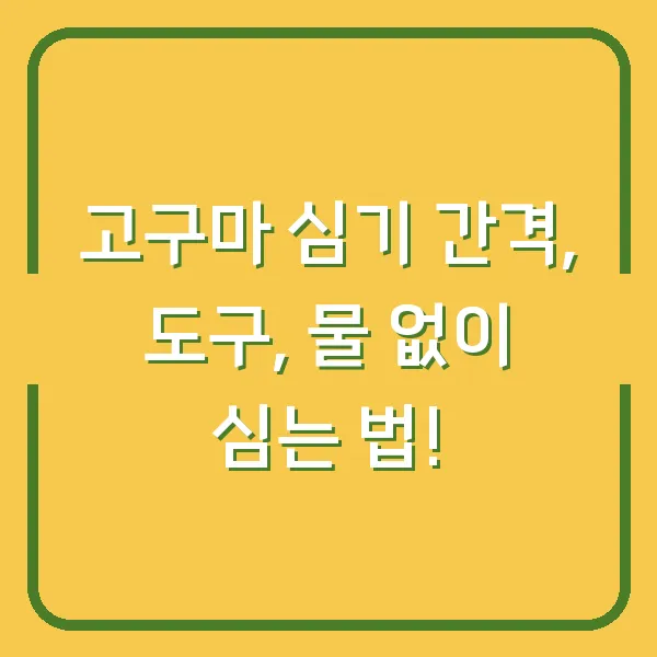 고구마 심기 간격, 도구, 물 없이 심는 법!