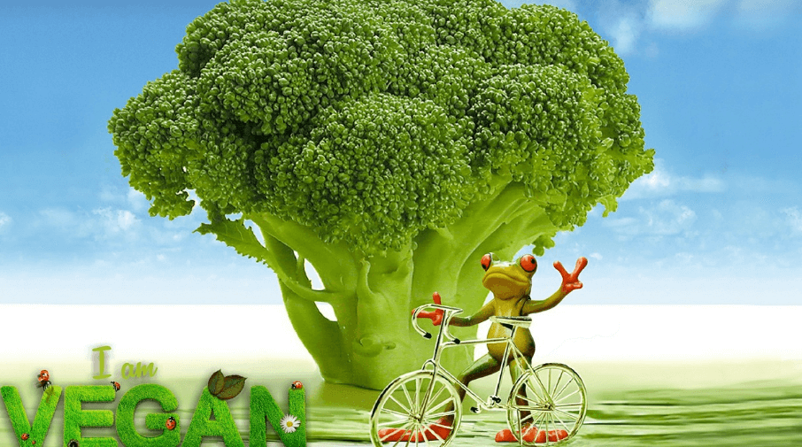 구내염에 좋은 음식 사진 - 712