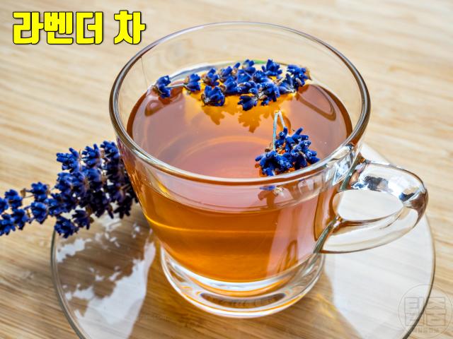 수면장애 치료 좋은 차 천연 수면유도제 추천 라벤더차