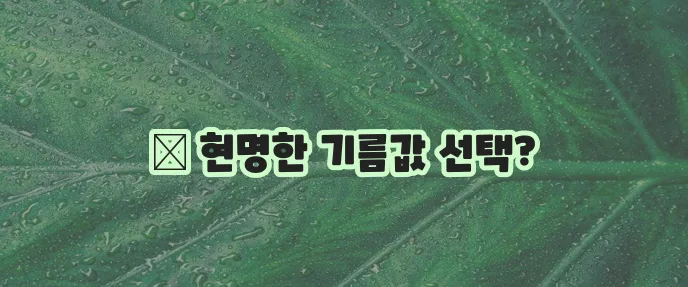 주유소 가격 비교 (근처 주유소, 알뜰)