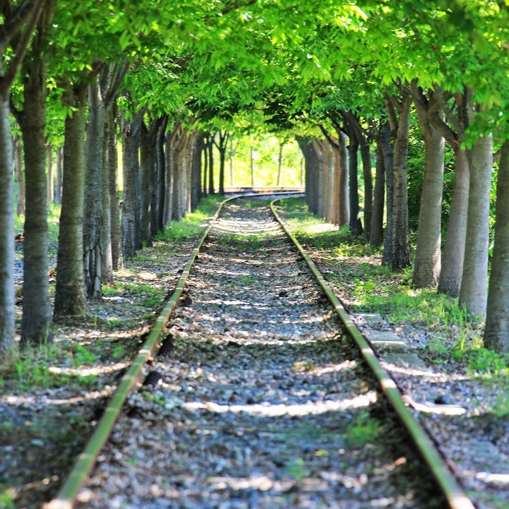 춘천가볼만한곳이미지