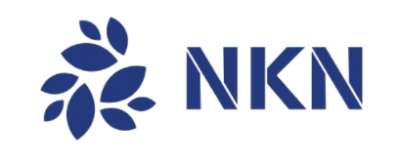 nkn코인