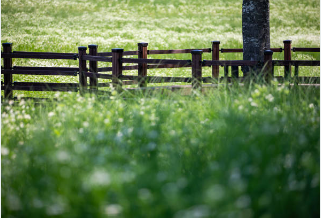 농지대장 발급방법
