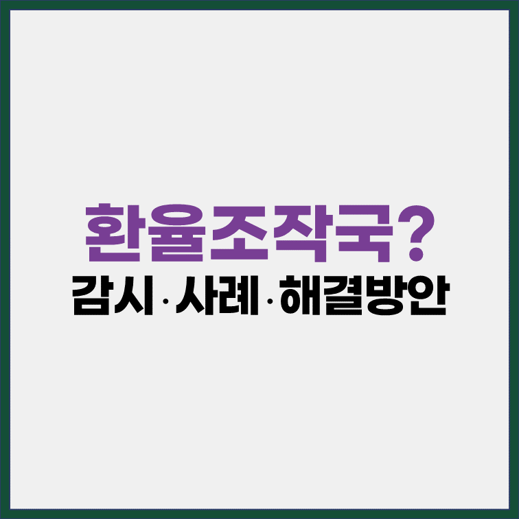 환율조작국이란 감시 사례 해결방안