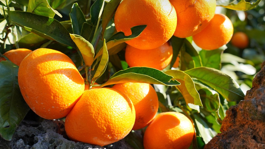 가족과 제주 여행 추천 (자연명소, 체험, 음식)