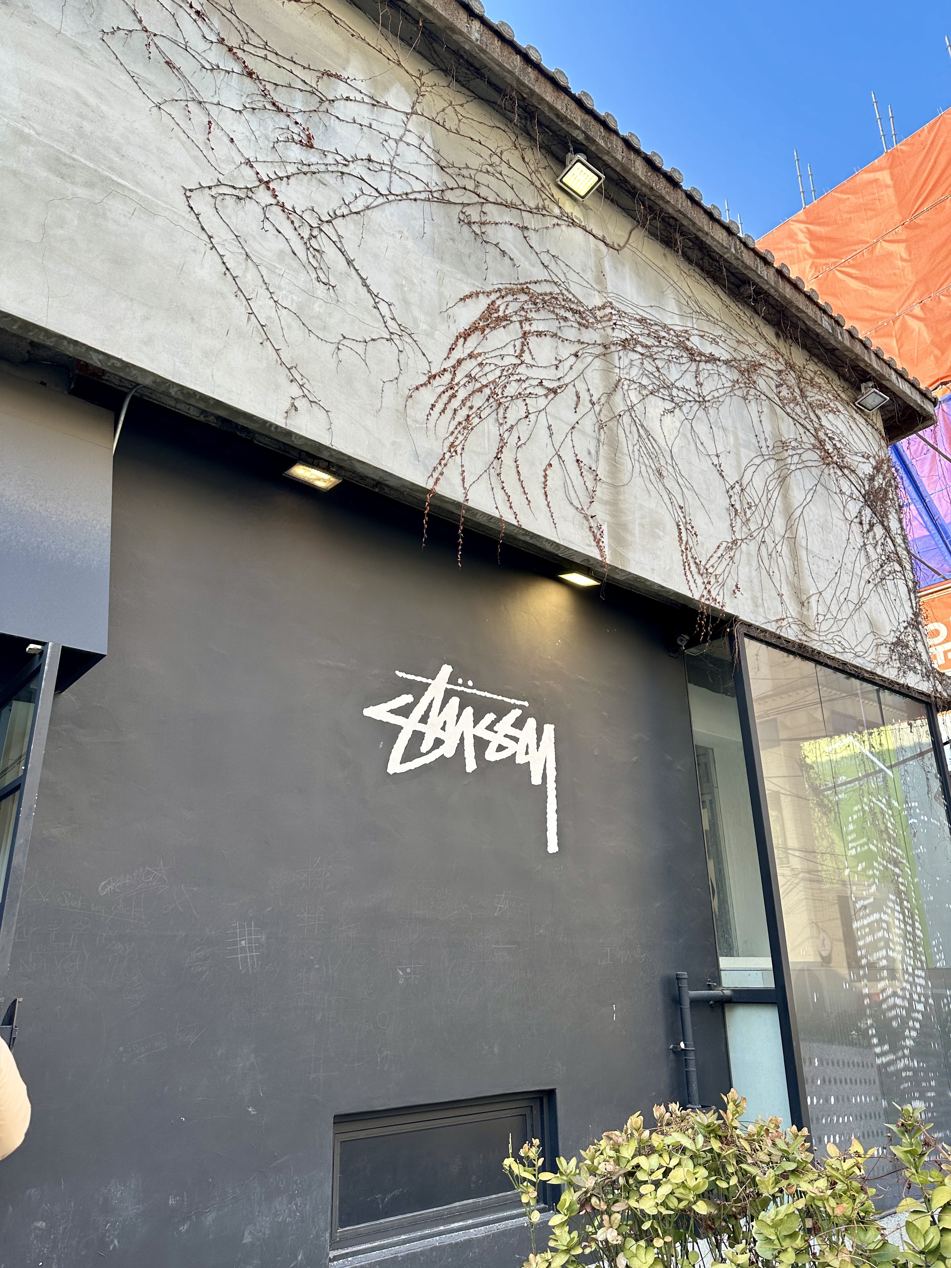 예쁜 스투시 로고