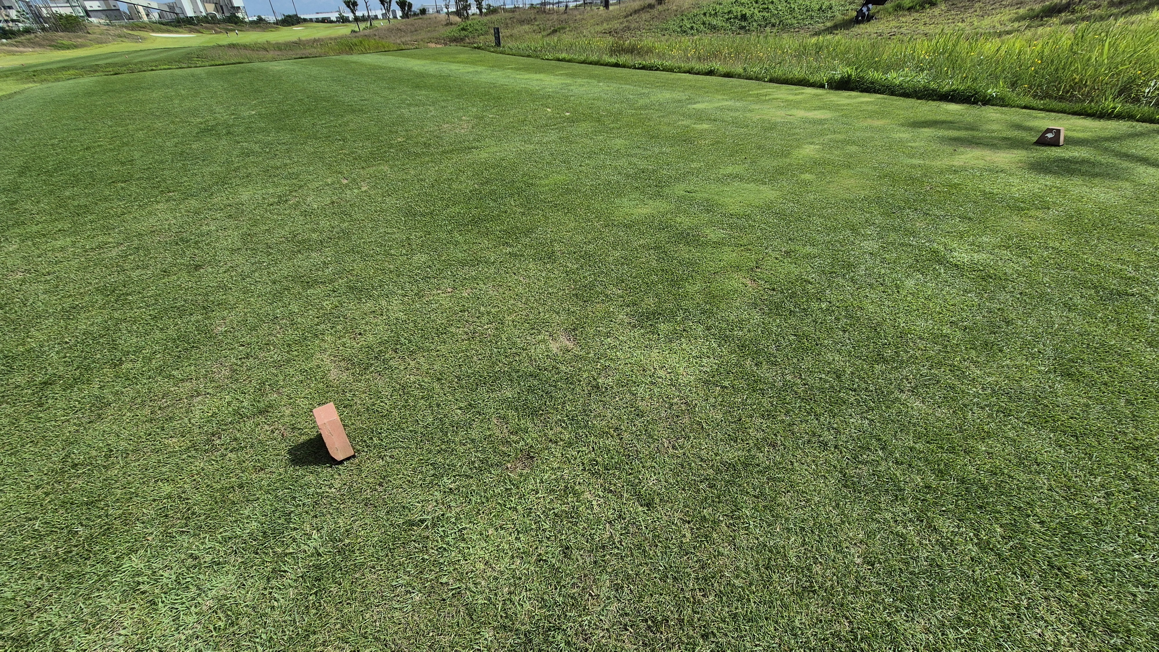 플라밍고cc 듄스-링크스 코스 라운드 후기