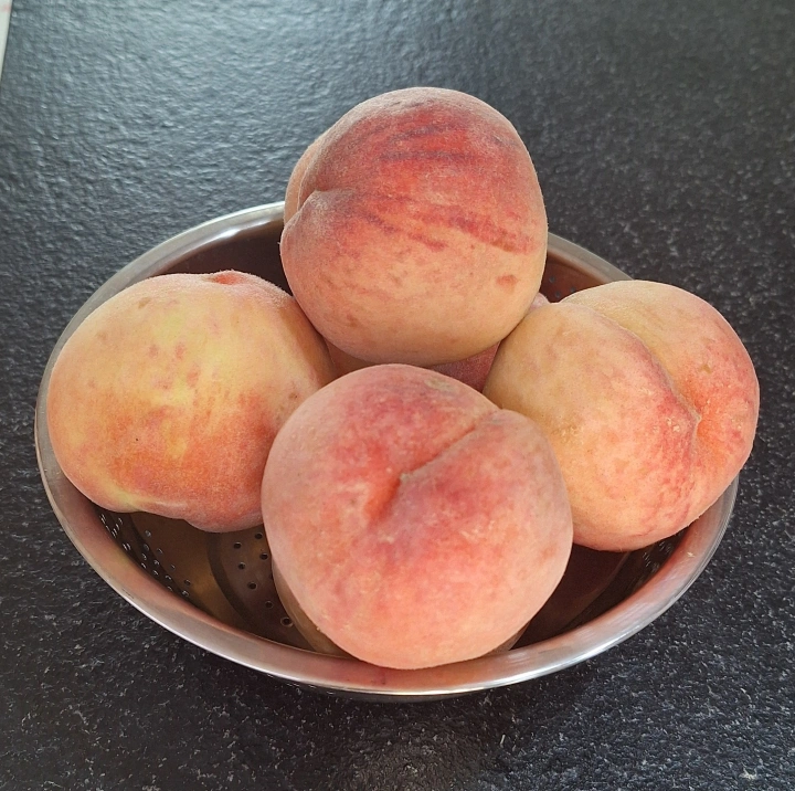 딱딱이-복숭아-사진