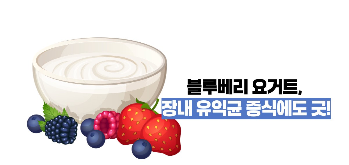 블루베리 효능 부작용