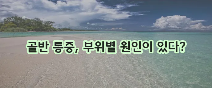 골반 통증 원인을 부위별로 명확히 알아봅시다!
