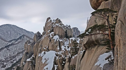 강원도 가볼만한곳 이미지 입니다.