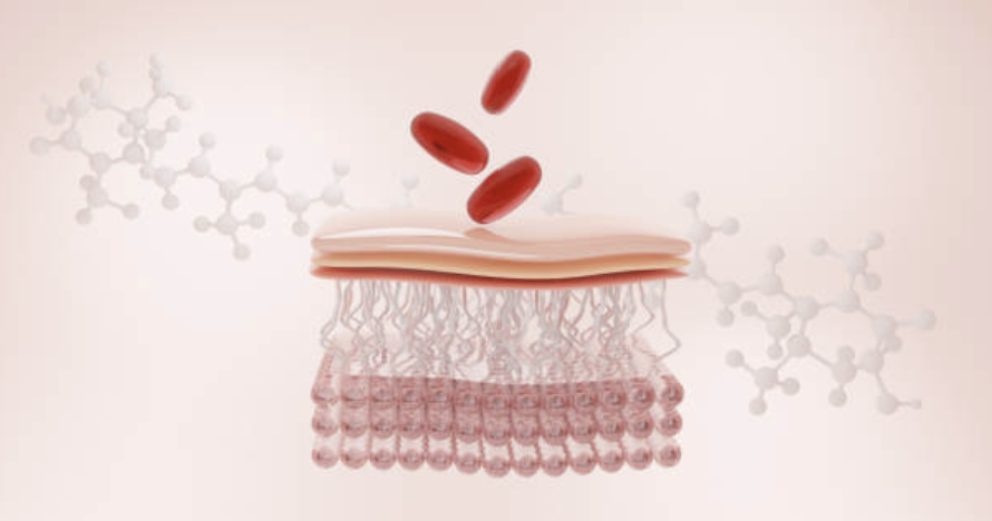 Peptide redundancy가 해석을 어렵게 만드는 이유