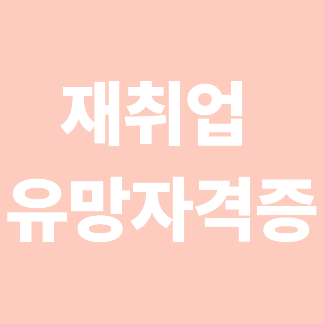 재취업 유망자격증 사진
