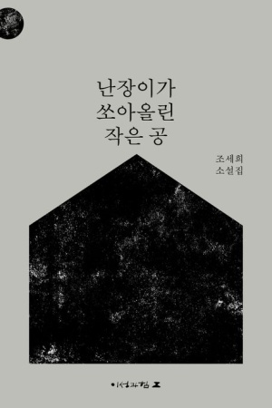 난장이가 쏘아올린 작은 공 조세희 책 표지 이미지