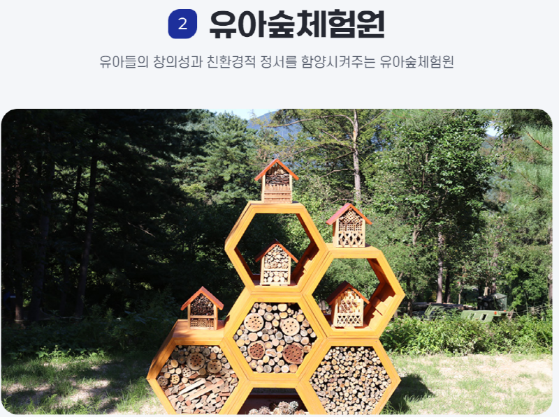 물맑음 수목원
