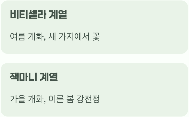 혹시 우리 집 으아리는 다른 종류?