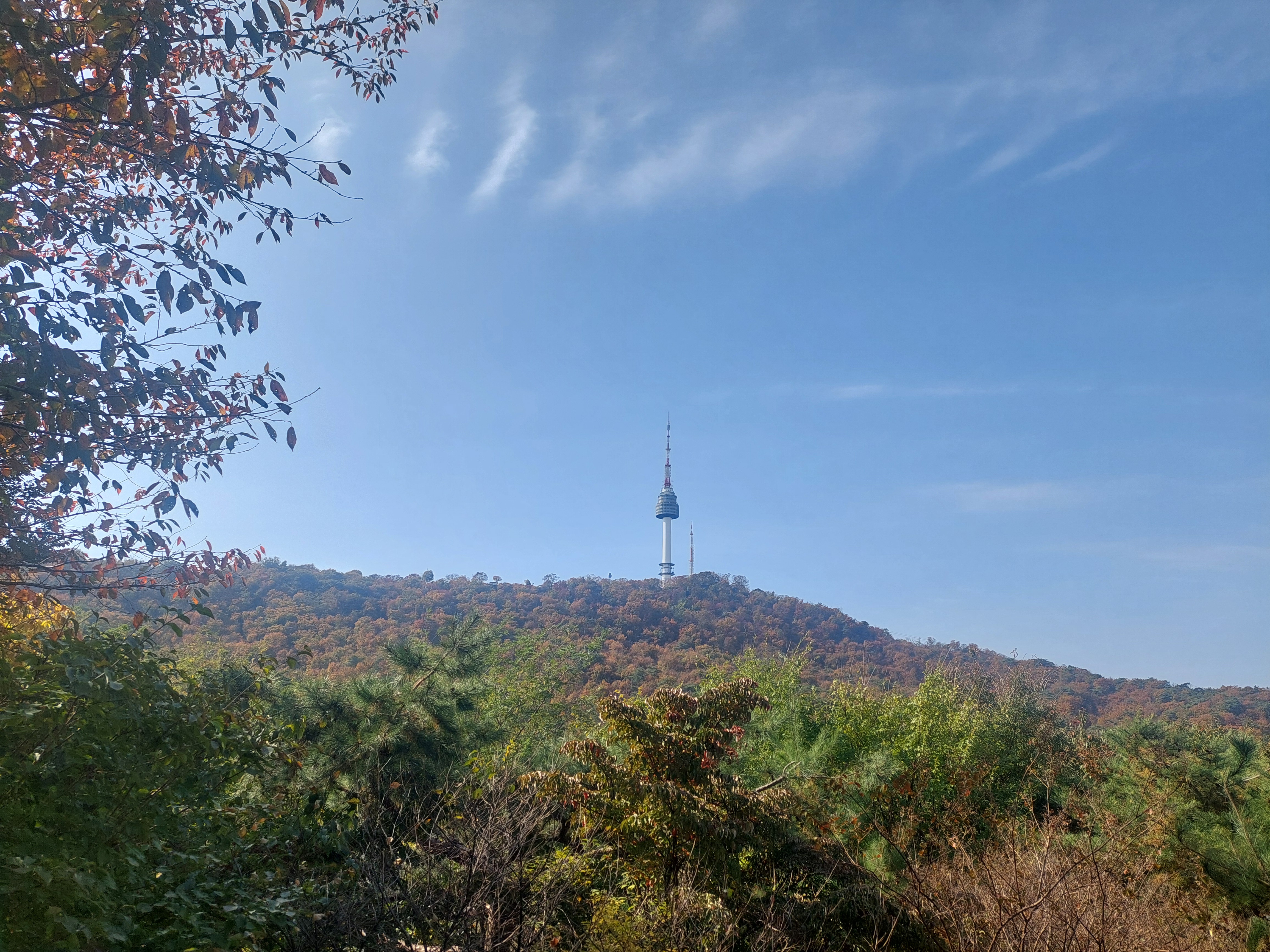 남산