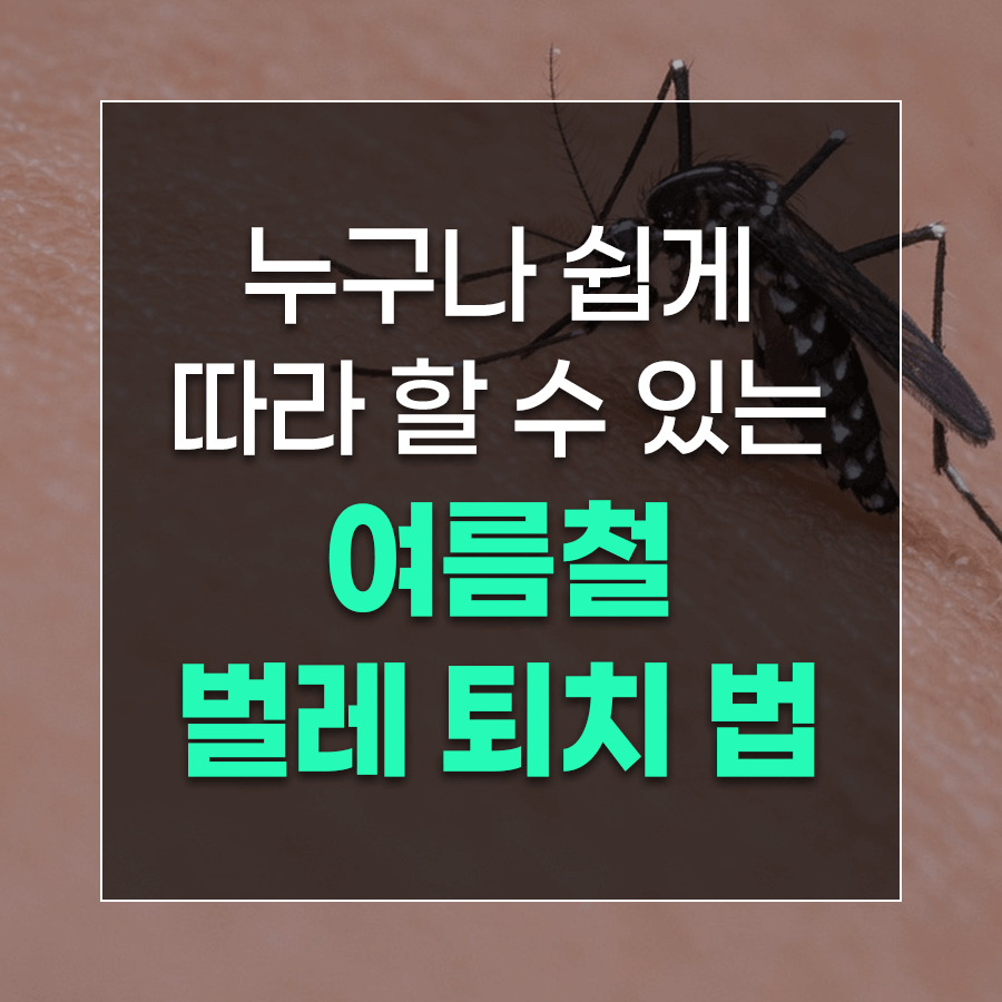 누구나 쉽게 따라 할 수 있는 여름철 벌레 퇴치 법