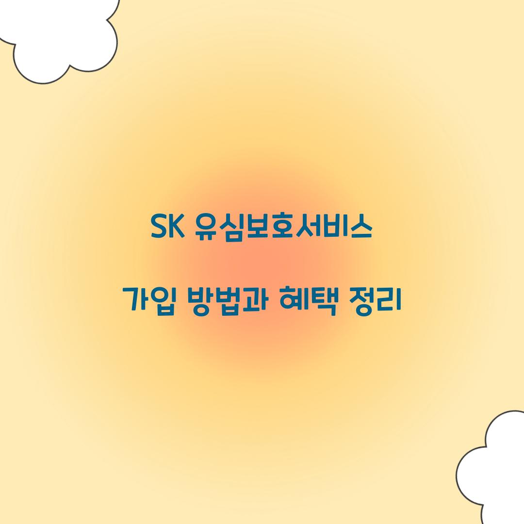 SK 유심보호서비스 가입