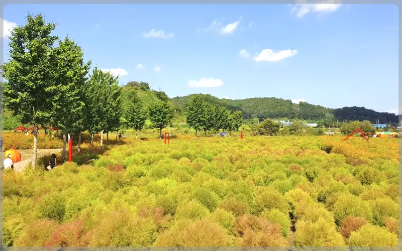 임진강 댑싸리공원_21