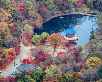 단풍 명소 내장산_1