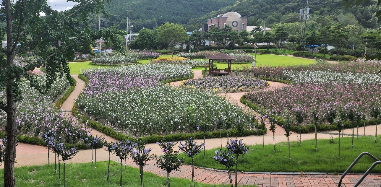 장성 무궁화공원