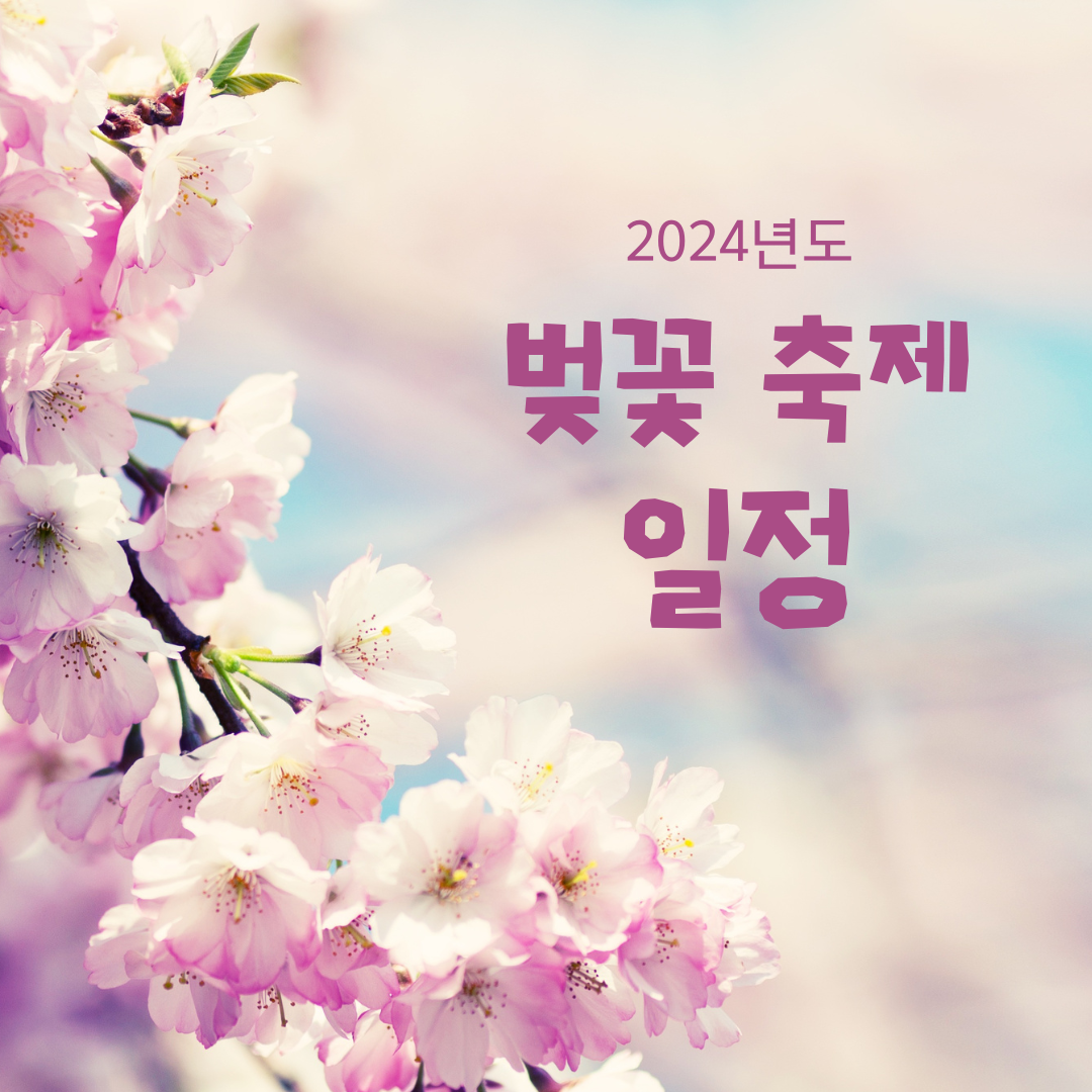 2024년 벚꽃축제 일정