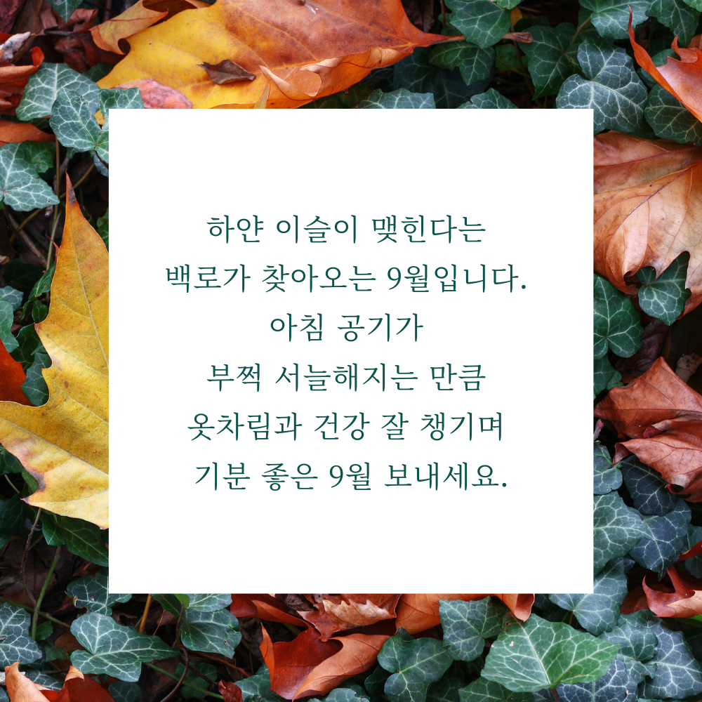 백로와 서늘한 가을 아침 건강을 전하는 9월 인사말 이미지