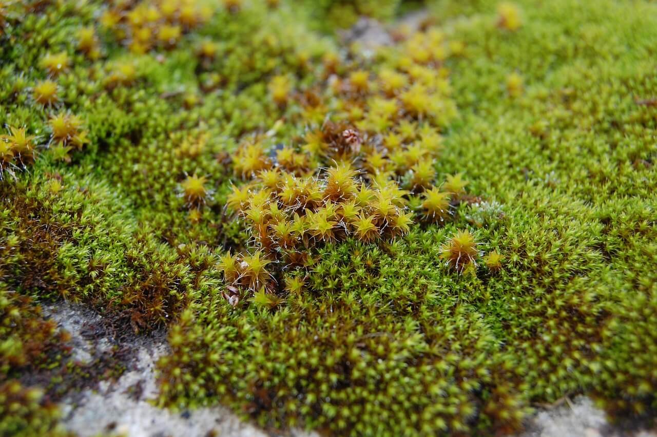 자료마다 다른 용어 정의 때문에 판단이 흐려졌던 경험에 대한 관찰 기록