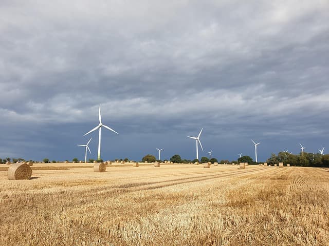 형사사건에서 법원의 증거재판주의 적용 한계와 오용 문제