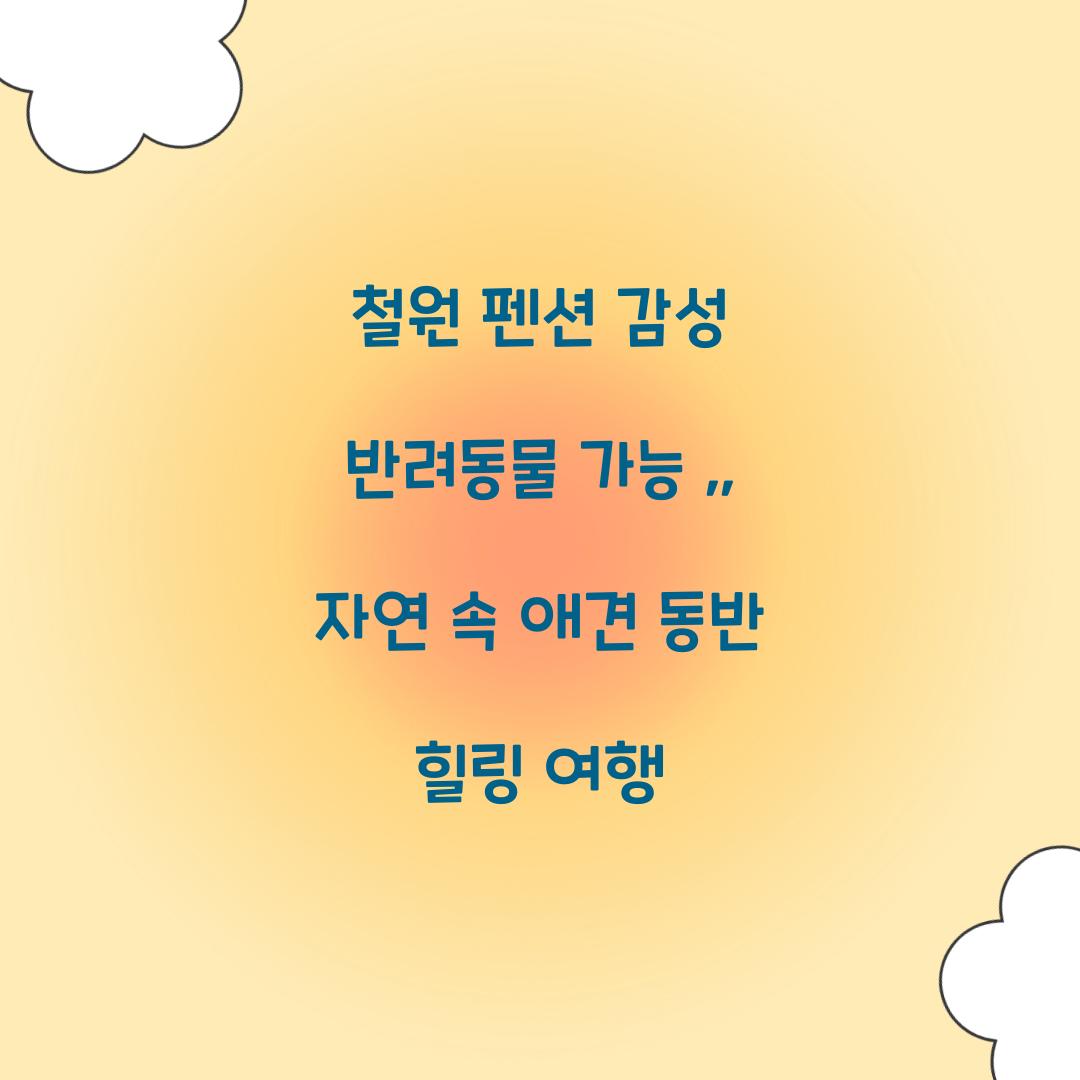 철원 펜션 감성 반려동물 가능