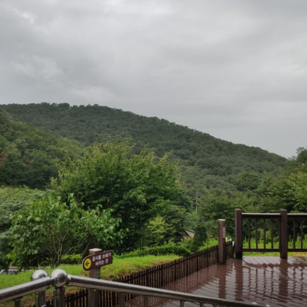 석모도 자연휴양림