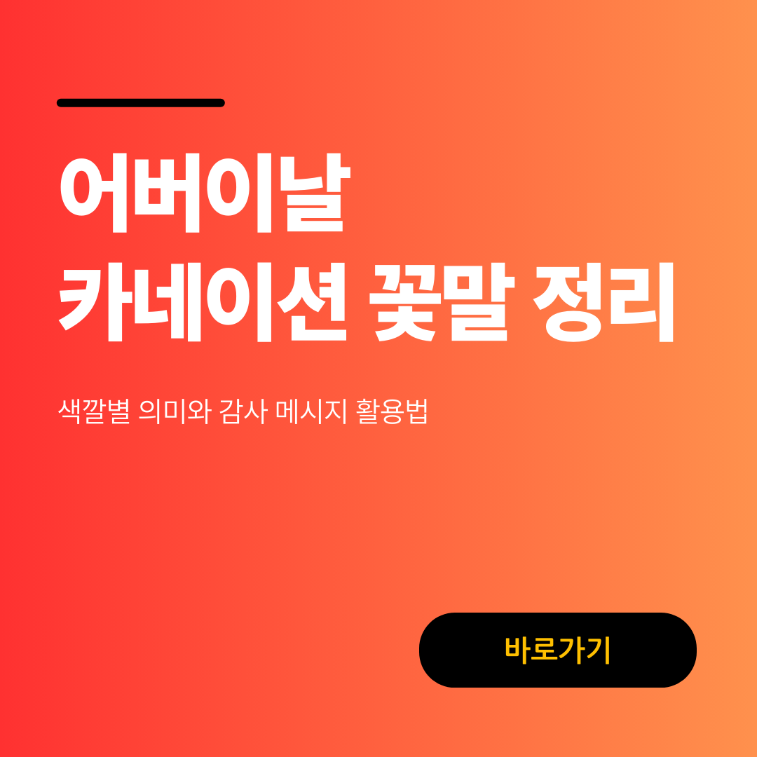 어버이날 카네이션 꽃말 정리: 색깔별 의미와 감사 메시지 활용법