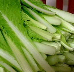 얼갈이 배추 효능 부작용 영양소 먹는방법