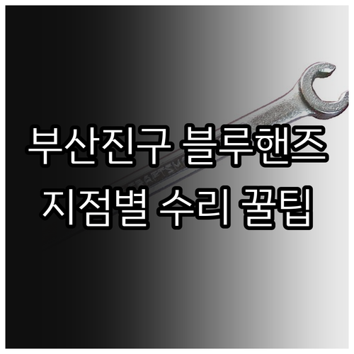 현대자동차 블루핸즈 부산진구 지점별 ..