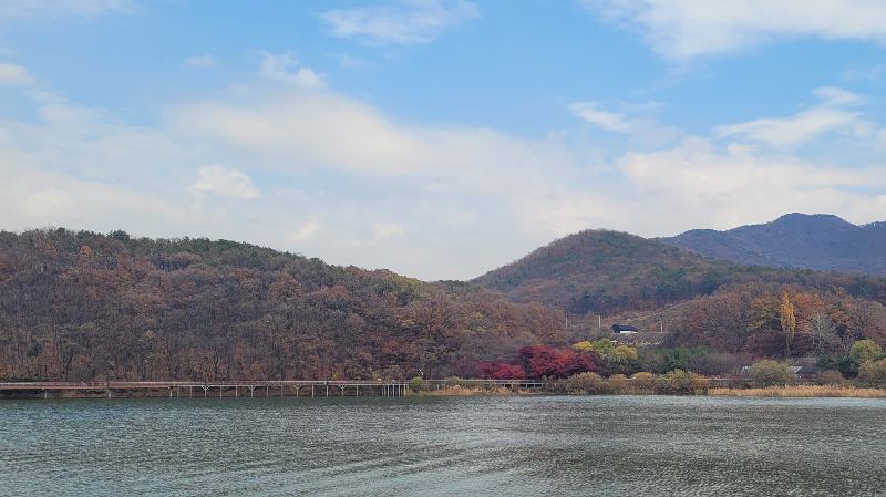백운호수 주변 풍경 -산책 데이트 코스
