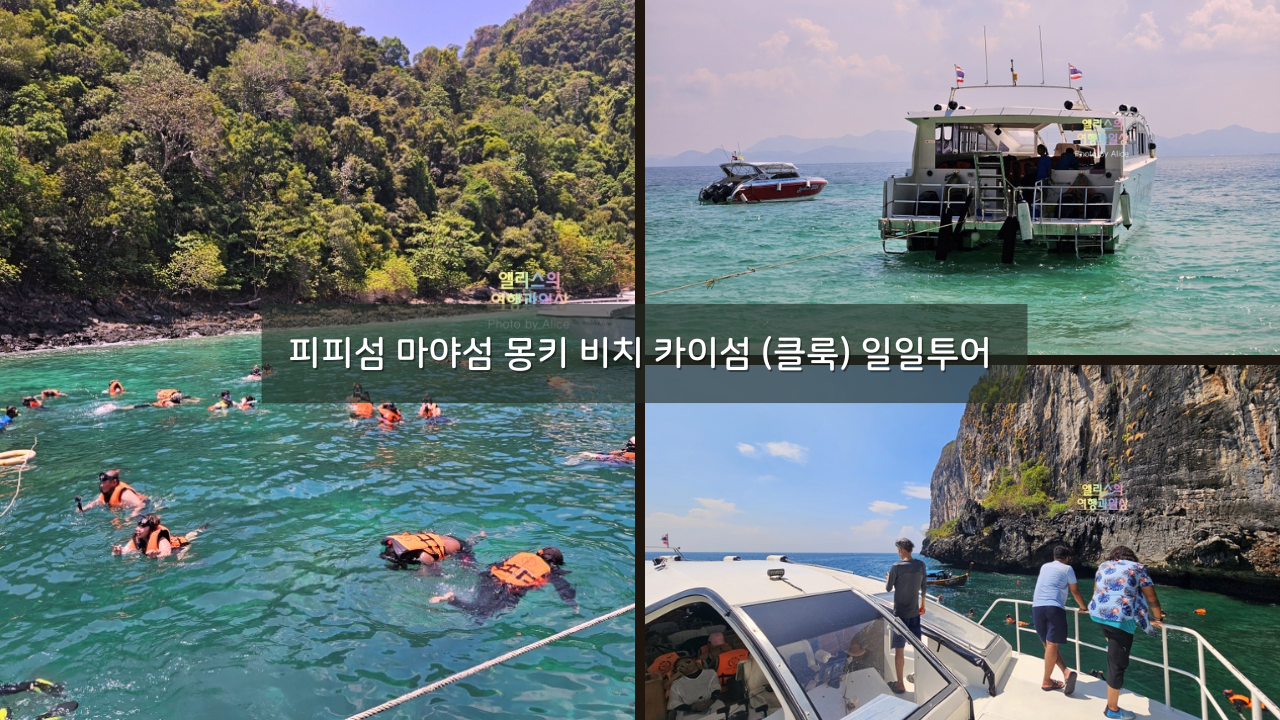 피피섬 마야섬 몽키 비치 카이섬 (클룩) 일일투어