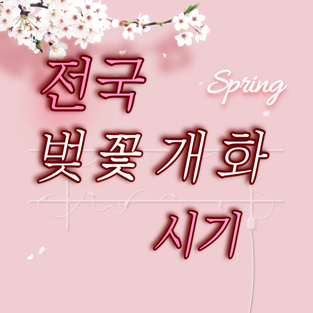 벚꽃개화시기